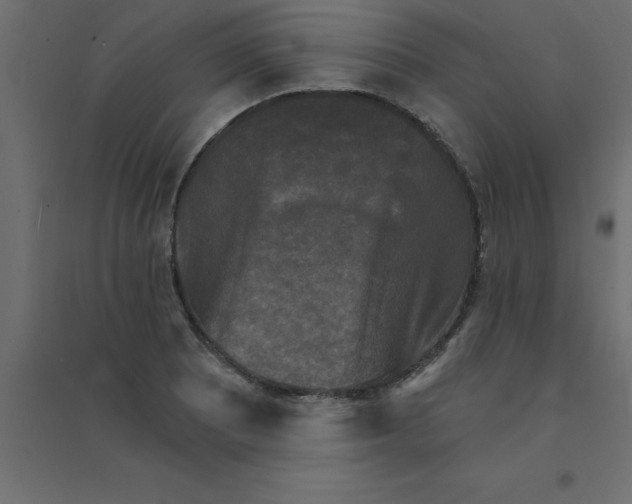 X0000094351081200711241909