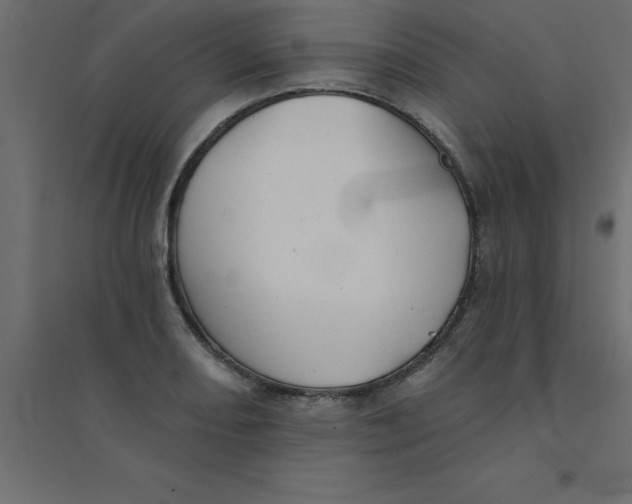 X0000094351082200711241909