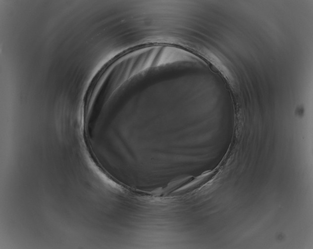 X0000094351084200711241909