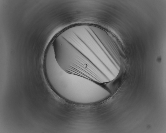 X0000094351085200711241909