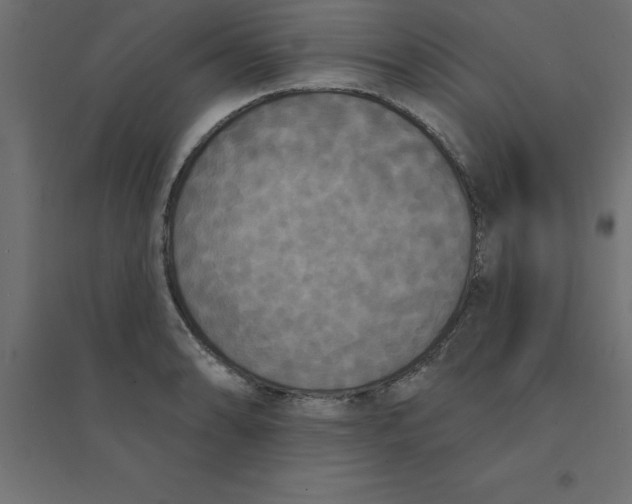 X0000094351086200711241909