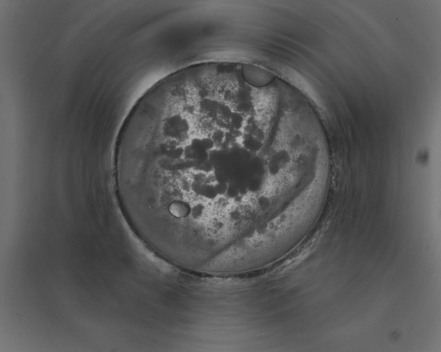 X0000094351087200711241909