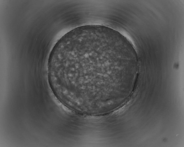 X0000094351088200711241909