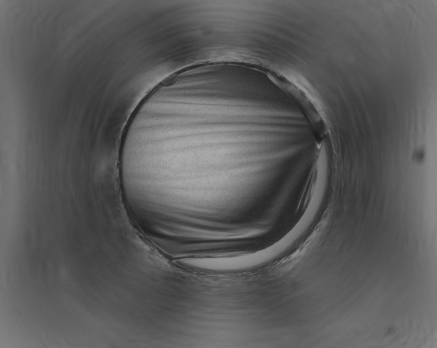 X0000094351089200711241909