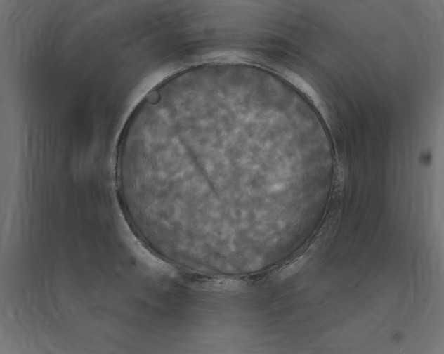 X0000094351090200711241909