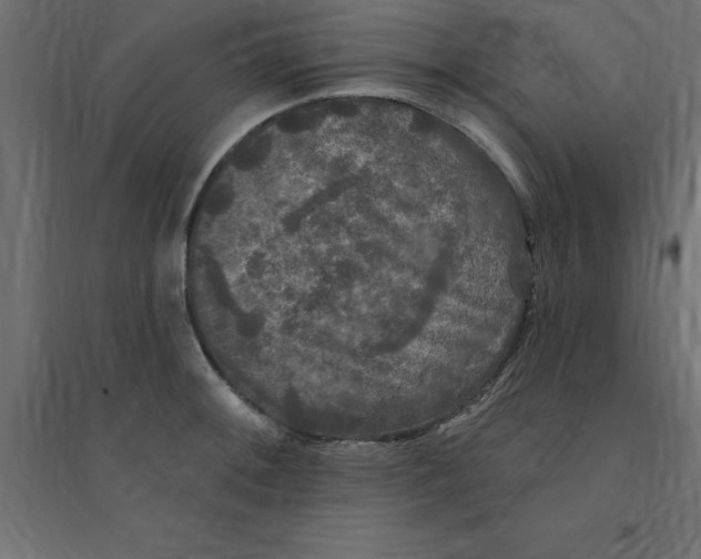 X0000094351092200711241909