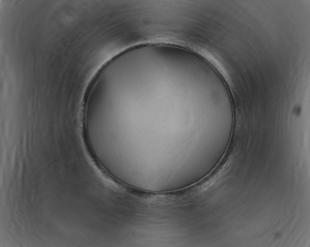 X0000094351093200711241909