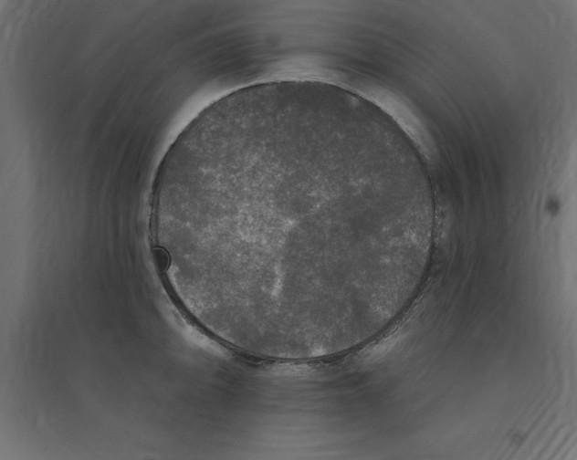 X0000094351094200711241909