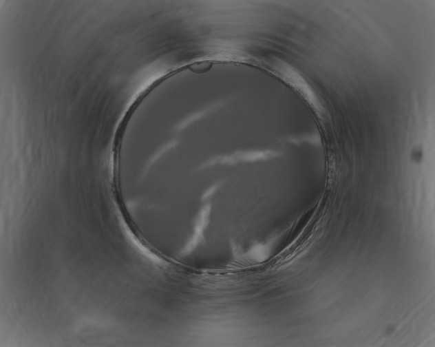 X0000094351095200711241909