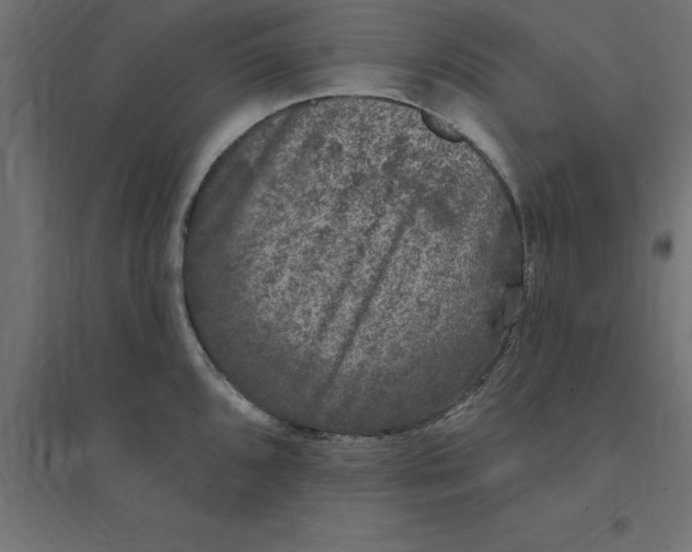 X0000094351096200711241909