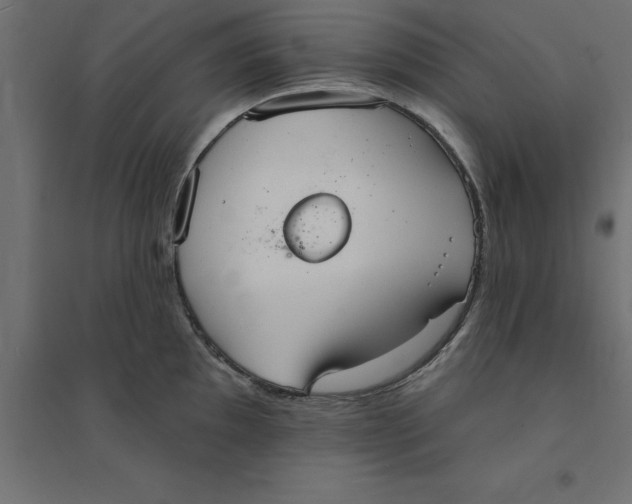 X0000094351097200711241909