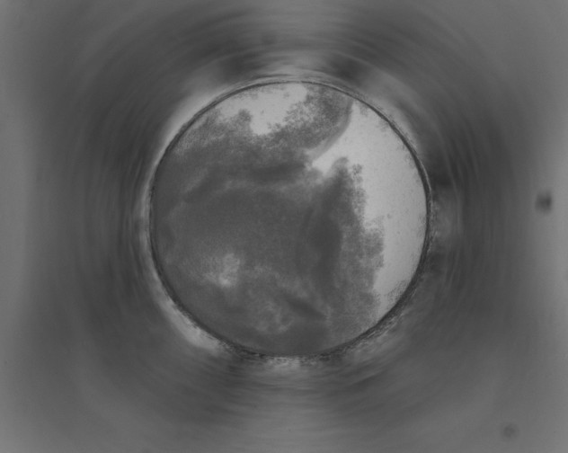 X0000094351098200711241909