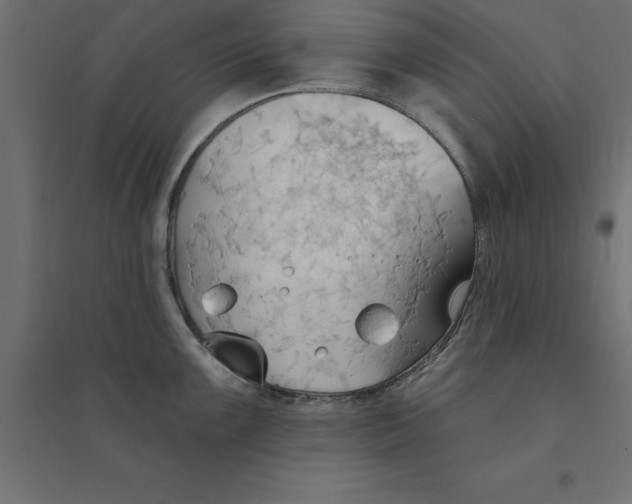 X0000094351099200711241909