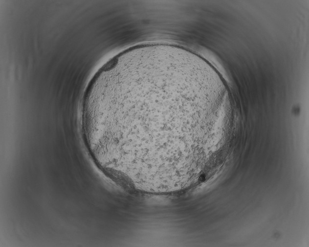 X0000094351101200711241909