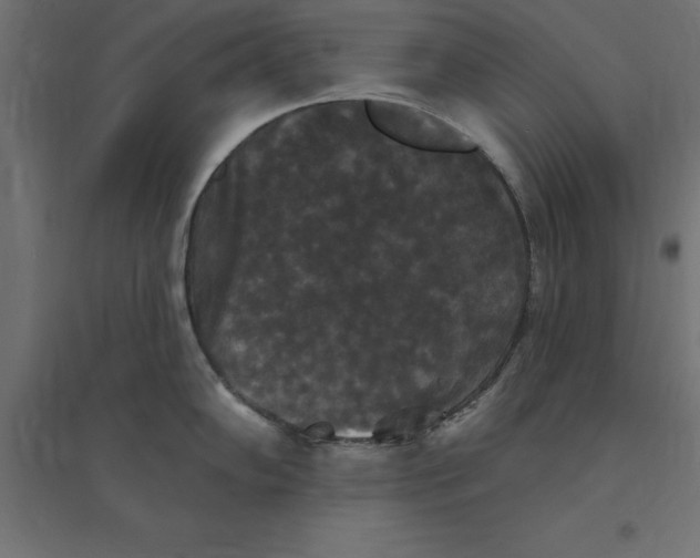 X0000094351102200711241909