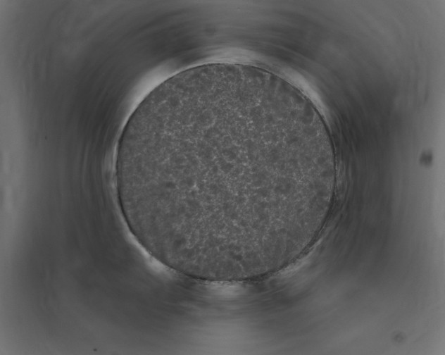 X0000094351103200711241909