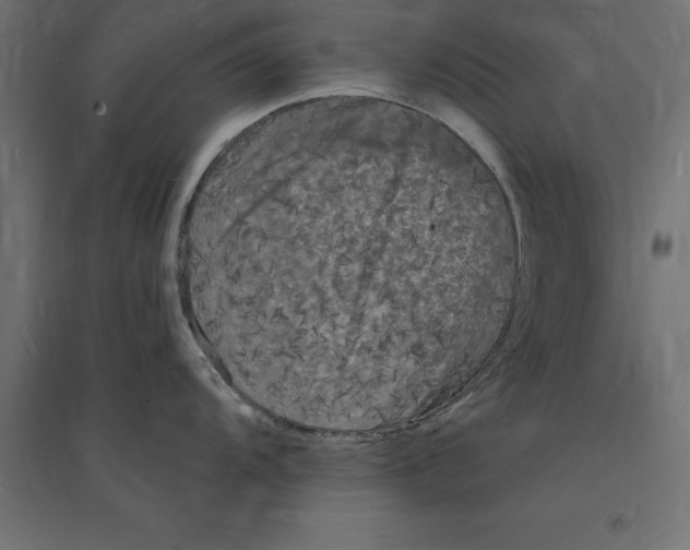 X0000094351104200711241909