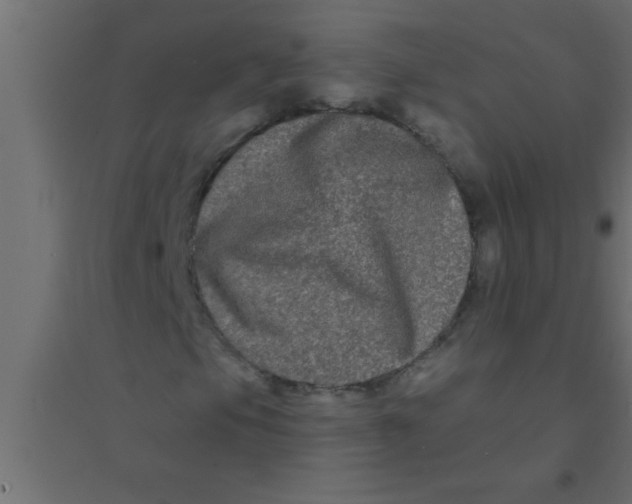 X0000094351105200711241908