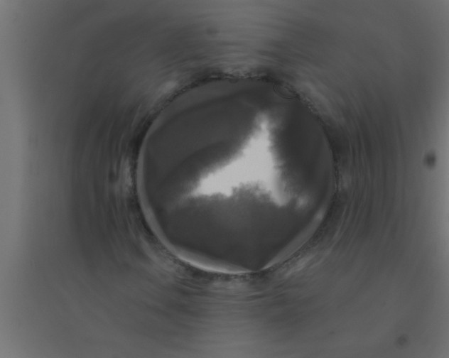 X0000094351106200711241908