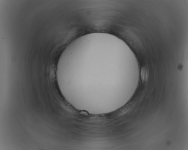 X0000094351107200711241908