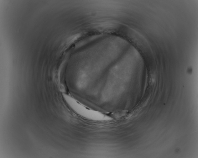 X0000094351108200711241908