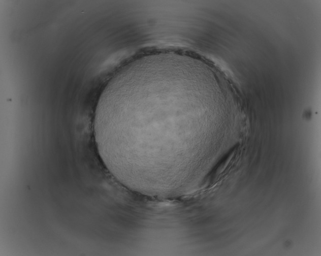 X0000094351110200711241908