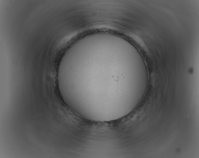 X0000094351111200711241908