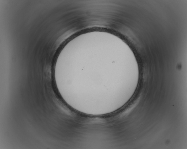 X0000094351113200711241908