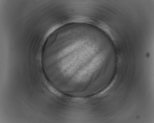 X0000094351114200711241909