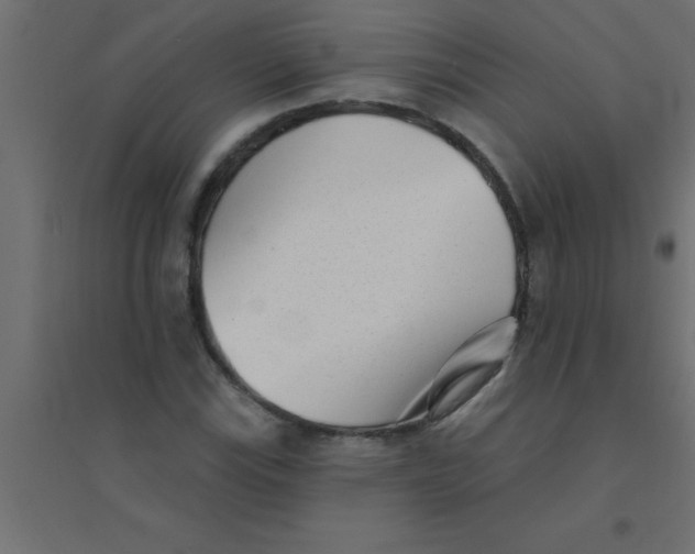 X0000094351115200711241909