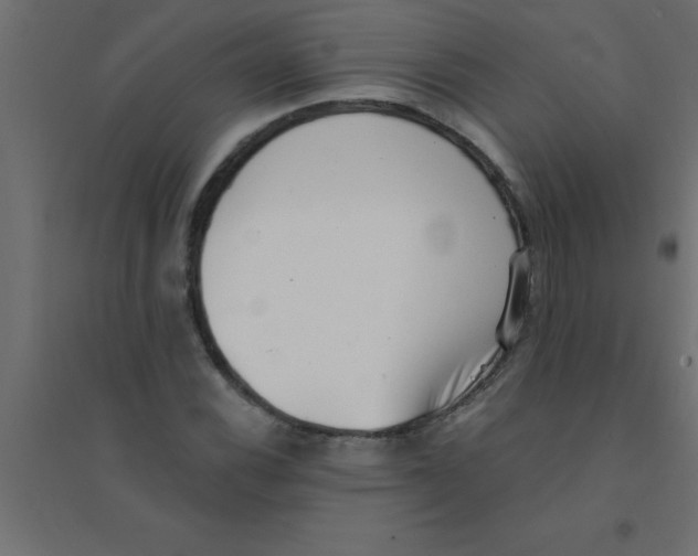 X0000094351116200711241909