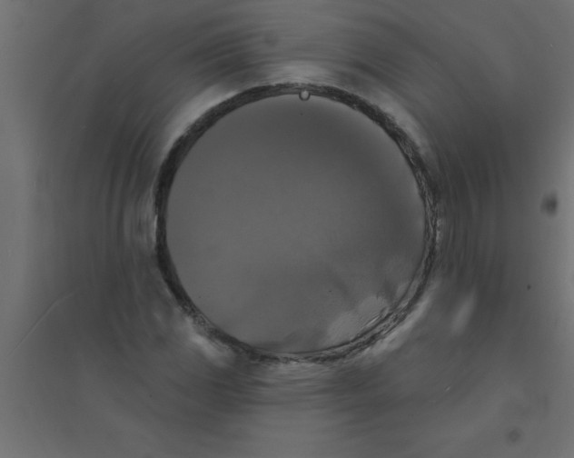 X0000094351117200711241909