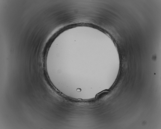 X0000094351118200711241909