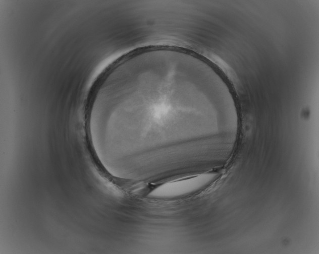 X0000094351120200711241909