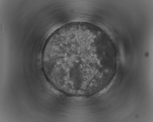 X0000094351121200711241909