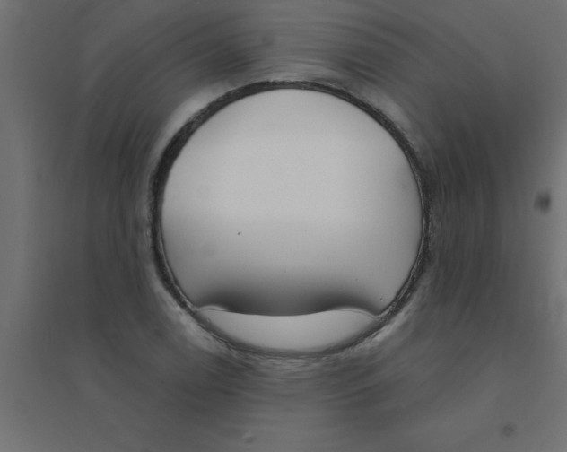 X0000094351122200711241909