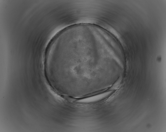 X0000094351124200711241909