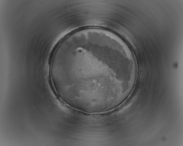 X0000094351125200711241909