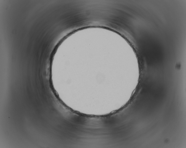 X0000094351126200711241909