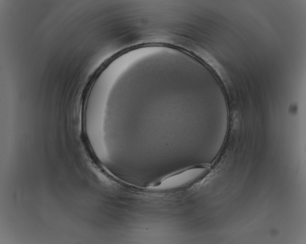 X0000094351127200711241909