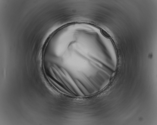 X0000094351128200711241909