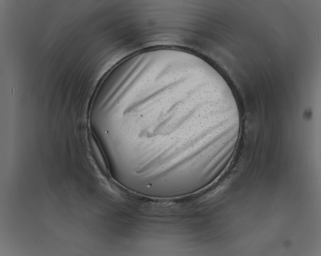 X0000094351129200711241909