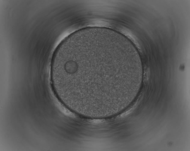 X0000094351130200711241909