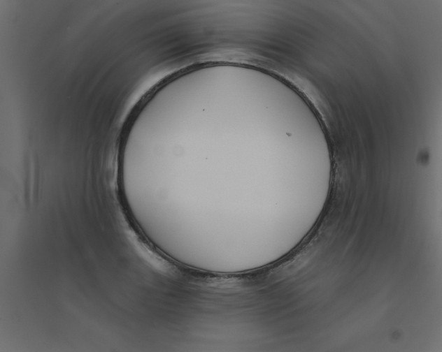 X0000094351131200711241909