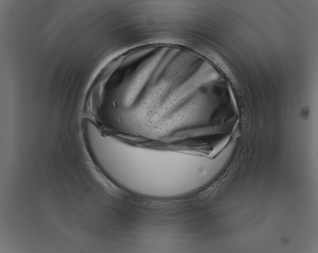 X0000094351132200711241909