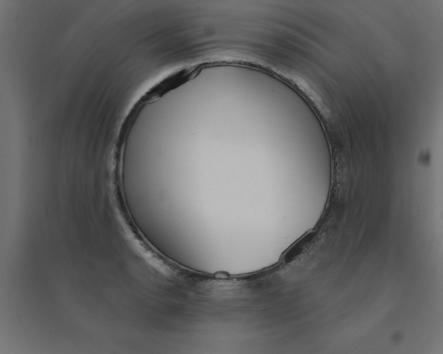 X0000094351134200711241909