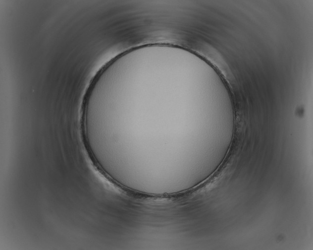 X0000094351135200711241909