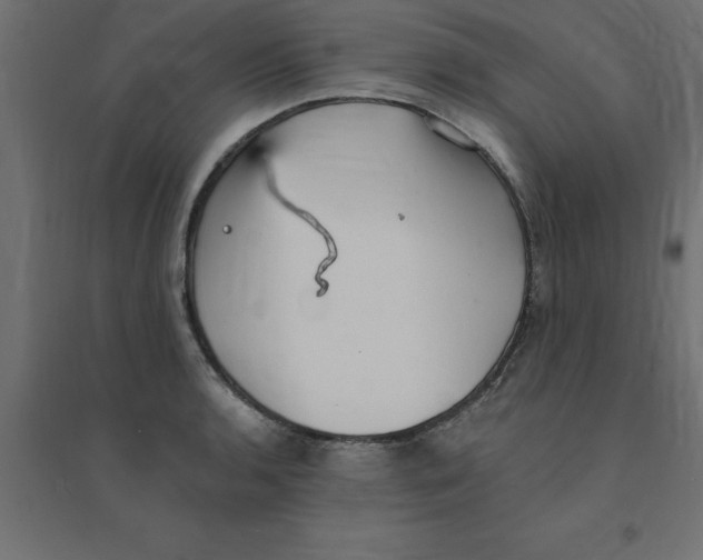 X0000094351136200711241909