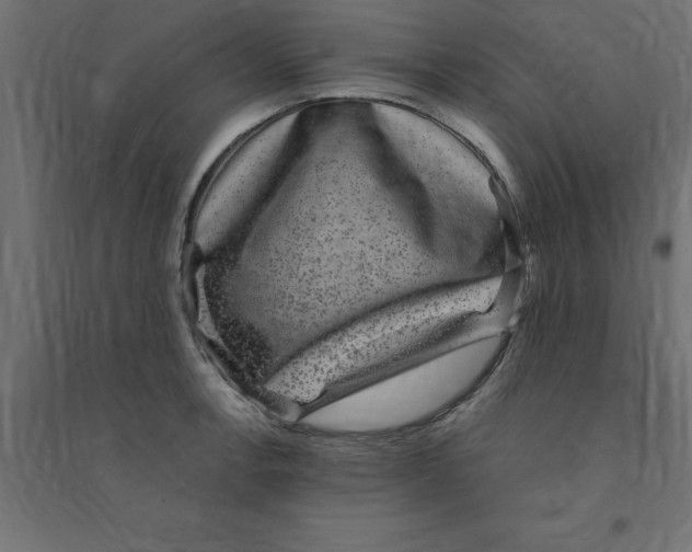 X0000094351138200711241909