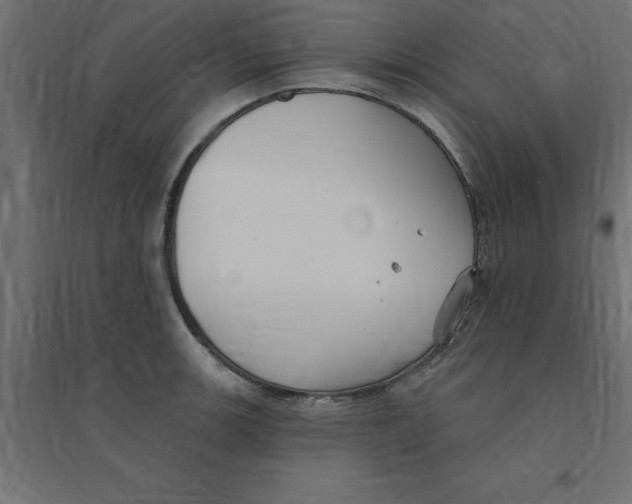 X0000094351139200711241909